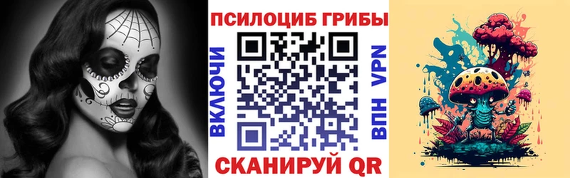 Галлюциногенные грибы GOLDEN TEACHER  darknet наркотические препараты  Поронайск 